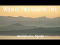 Wildlife Photography Trip to Andalusia, Spain | November 2023