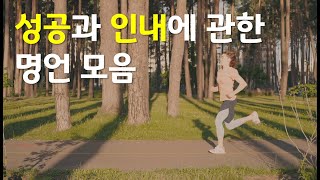 성공은 매일 반복하는 작은 노력들의 합니다