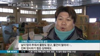 [TJB 8뉴스] 한파에 농촌도,도시도 피해 속출