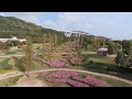 淡路島 国営明石海峡公園秋の花風景2016