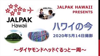 #今できること ハワイの今 2020年5月14日撮影　～ダイアモンドヘッドぐるっと一周～ #ハワイ #旅を夢見て #STAYHOME