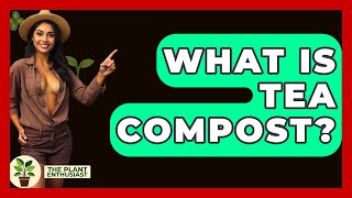 What Is Tea Compost? - The Plant Enthusiast