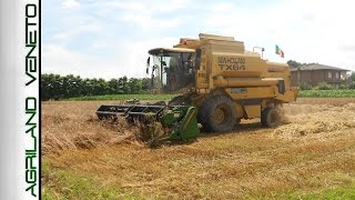 GoPro TREBBIATURA ORZO 2016 | NEW HOLLAND TX 64 + CRESSONI