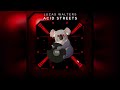 Lucas Walters - Acid Streets [] Minimal / Deep Tech [] || Hungry Koala Records ||