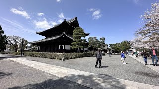 京都建仁寺 / Kenninji Temple, Kyoto          Day  6-C , 3-27-2023