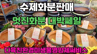 화분판매 수제화분판매 대박특가할인 010 4499 2456 5만이상무료배송 다육친환경영양제써비스 주문은 문자로주세요