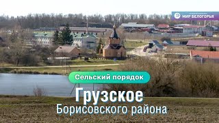 «Сельский порядок». Грузское Борисовского района (25.03.2020)