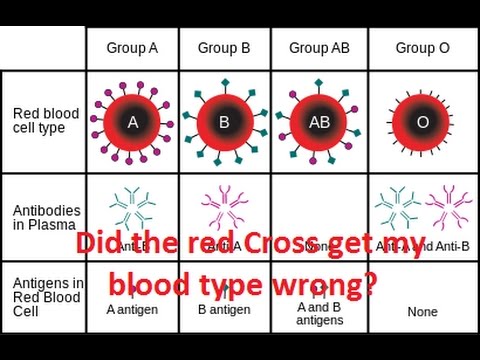 Did the Red Cross get my blood type wrong? Did the Red Cross get my blood type wrong?