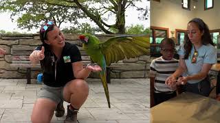 Live a Park Life in Miami-Dade County