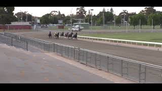 Mildura Harness Racing Club- 30 Sep 2024 Trial 2