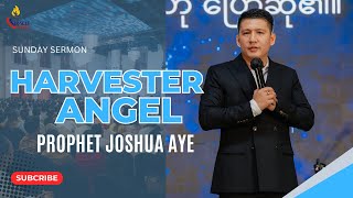 Harvester Angel | Prophet Joshua Aye