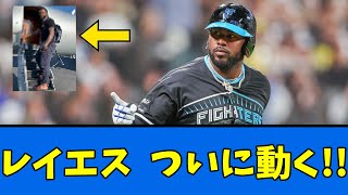 【新メンバー】レイエスがついに動く?!?!?　【プロ野球反応集】【2chスレ】【5chスレ】