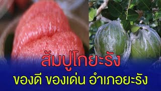 ด้ามขวานแห่งสันติสุข ตอน เดินหน้าเกษตรแปลงใหญ่ ส้มโอปูโกยะรัง