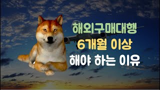 해외 구매대행 창업 후 최소 6개월은 존버해야 합니다.