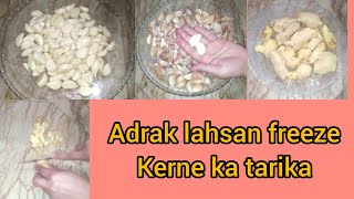 adrak or lahsan freeze kerne ka tarika! how to freeze ginger and garlic