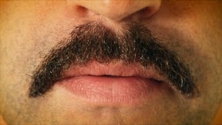 How To Kill a Mustache