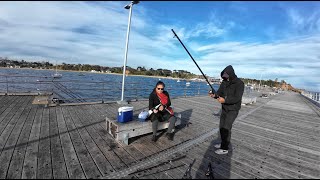 Australia | Melbourne | Family Vlog 4 - Fishing Trip To Mornington Peninsula And Hastings