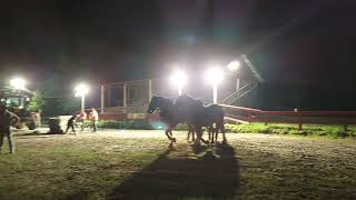 Draft Horse Pulls, 2023 [10 of 18]