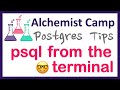 Using Postgres psql (terminal crash course)