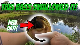 Farm Pond Fishing With NEW BAITS! | The Yamatanuki!