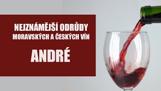 Odrůdy našich vín - André