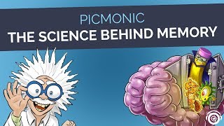 The Science Behind Memory | Picmonic
