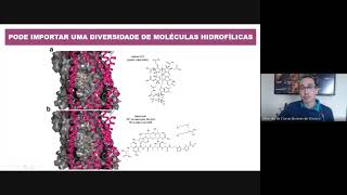 Transportadores ABC e seu impacto na fisiologia bacteriana