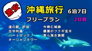 【沖縄旅行】1日で回れるおすすめプラン・美ら海水族館・ハートロック・今帰仁城・許田ほか 2日目