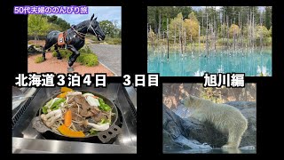 旭川編　 ２０２２年９月下旬の北海道３日目。札幌からレンタカーで美瑛の青い池、旭山動物園に行って、ジンギスカンを食べて、のんびりしているようで、長い１日でした！