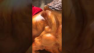 AMAZING WOODWORKING SKILL, woodworking best skill #woodcarving #Shorts