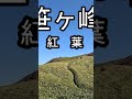 寒風山～笹ヶ峰縦走　 shorts