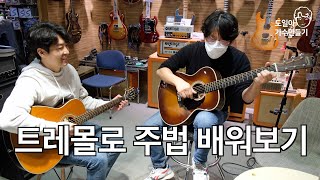 트레몰로 주법 기타 배우기 [도일이 가수 만들기 Ep.12]