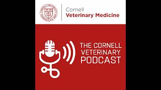 Inside Cornell's Wildlife Hospital