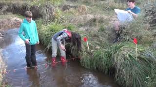 How to Measure Stream Flow