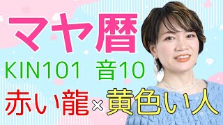 【神回】「病気になることで得られるメリット」マヤ暦【KIN101】赤い龍 黄色い人 音10 開運ポイント