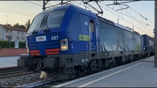 I grandi Treni internazionali della Milano - Chiasso in una notte di mezz'estate.