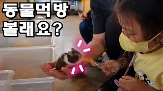 vlog 동물먹방 볼래요? - 실내 미니동물원 체험 브이로그