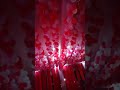 balloon decoration ideas mata shakumbhari devi mandir viral balloon shorts