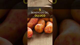 5 Beneficios del olluco para la salud