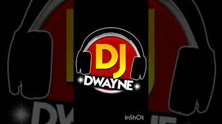 Dj Dwayne party juggling mix