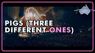 Pigs (Three Different Ones) - Pink Floyd Song Covered by The Australian Pink Floyd Show