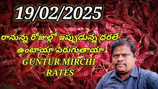 19 February 2025 GUNTUR MIRCHI MARKET RATES గుంటూరు మిర్చి మార్కెట్ ధరలు