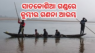 News Update:ସାତ କୋଶିଆ ଗଣ୍ଡରେ କୁମ୍ଭୀର ଗଣନା ଆରମ୍ଭ....#boudh #satkosia #tourist #samarthanews