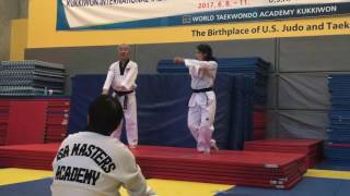 Pyongwon poomsae from the June 8-11, 2017 Kukkiwon International Masters \u0026 Examiners License Course