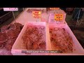 numazu fish market walking with hamayaki bbq seafood sushi and sashimi shizuoka japan 沼津魚市場