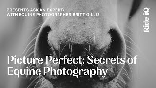 Picture Perfect: Secrets of Equine Photography, with Britt Gillis