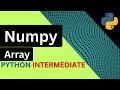 NumPy Arrays | #00 Python Tutorial