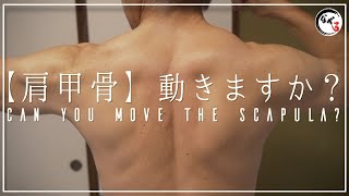 CAN YOU MOVE THE SCAPULA?　JAPAN「KYUDO」