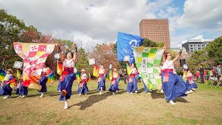 [4K] KARNA翼　おどるんや秋まつり 2018　二の丸会場