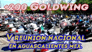 +200 GOLDWINGS RODANDO EN AGUASCALIENTES MÉXICO